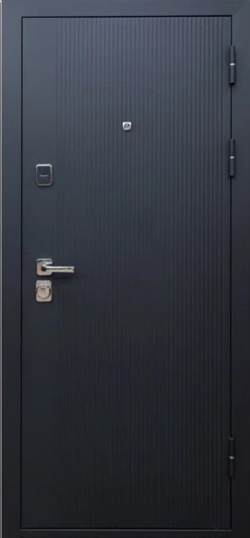 Товар Дверь Цербер SS-01 Только 96 DIS007136